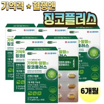(코오롱제약) 기억력 혈행엔 징코플러스 30정 은행잎추출물 징코 나이아신 판토텐산 뇌영양제 집중력 PS 포스파티딜세린 플라보놀 다리붓기 손발 저림 하체비만 나이아신 아연 판토텐산, 6개