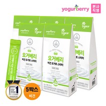 요거베리 비건 요거트 스타터 무가당 식물성 유산균 종균 5BOX, 20g, 10개입, 5개
