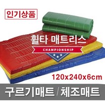 빅세일 [휠타매트리스] 120x240x6cm 구르기매트 체조매트 학교체육 유아체육 체육관매트 낙법 착지매트, 청색(Blue), 일반형
