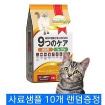 나인케어 켓 인도어 6kg 기호성좋은 고양이사료 +샘플 10개 증정
