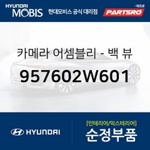 싼타페DM 순정 후방 카메라(백뷰) (957602W601)