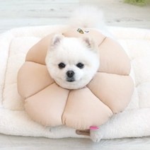 패리스독 꿀잠 카라 베이지 넥카라