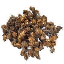 [장명식품] 창이자 도꼬마리, 1개, 300g