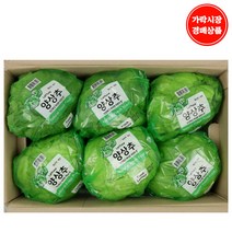 [가락시장 경매 식자재 채소] 양상추 12통/box