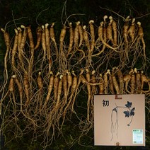 국내산 5~6년근 못난이 실속형 산양삼 50g 100g 강원삼삼 장뇌삼 파삼 코리아, 50g (약15~25뿌리), 단품