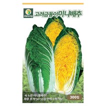 고려금동이미니배추 300립 50일 후 수확 배추 씨앗 가을 채소 종자 다농