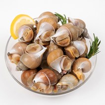 엄마농수산 생물 골뱅이 백골뱅이 백고동 탕 무침 비빔면 1kg 500g, 1kg 특대 (15미 내외)