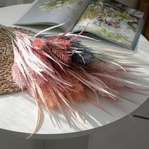 칼라억새풀부쉬 48cm, 크림
