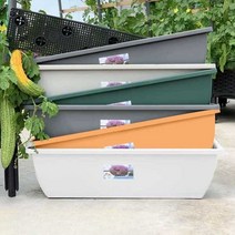 채소키우기 베란다 화분 플라스틱긴화분 텃밭화분, 화이트 4개