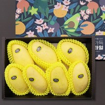 필리핀 골드망고 선물세트 2kg (7-8과), 상세페이지 참조