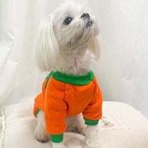 펫 할로윈 펌프킨 의상, S/보험 가입거절