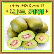 [3키로] 농장직송 제주 레드키위 고당고 특품 새콤달콤 제철과일 40과 전후