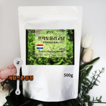 네덜란드 프락토올리고당 분말 신프리바이오틱스 유산균분양 갈락토올리고당 이눌린 500g