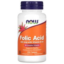 NOW Foods NOW Food 나우푸드 Folic Acid 폴시드 엽산 800mcg 250Tablets Folate