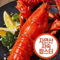 모노키친 김피탕 (냉동), 1개, 600g