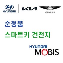현대 모비스 순정품 투싼 (NX4) (20년~현재) 스마트키 열쇠 키 리모컨 건전지 배터리 밧데리 자동차 차량용, 5개