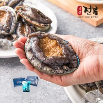 기삼전복 [기삼전복] 특특대 1kg (1kg 당 6~7미), 1개