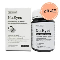 뉴 와이즈 뉴 아이즈 빌베리(90캡슐) Nu.Eyes 2개, 90캡슐