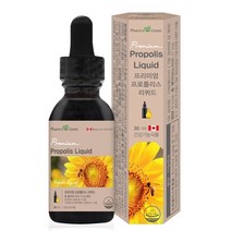 프리미엄 프로폴리스 리퀴드 30ml 플라보노이드 면역
