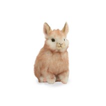 8128 피그미토끼 크림색 동물인형/18cm.L, 없음