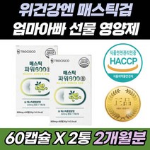 매스틱 메스틱 나무 수액 천연 검 위 건강 영양제 정 프락토 올리고당 혼합 유산균 알로에베라겔 히알루론산 분, 상세페이지 참조, 상세페이지 참조