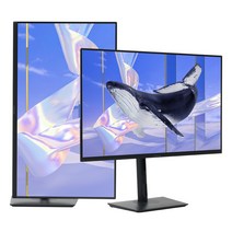 인터픽셀 IPU3210 32인치 4K UHD C타입 평면 멀티스탠드 모니터, 인터픽셀 IPU3210 일반