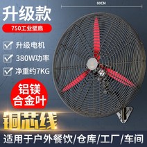 다이아몬드 브랜드 대출력 상업용 우각선 차고 공장 공업용선풍기, T01-750벽걸이 팬 알루미늄 마그네슘합금