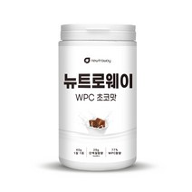 WPC 프로틴 보충제 600g 초코맛 바디밸런스 필수아미노산, 6개