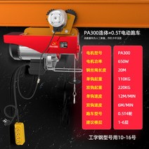 1톤 호이스트 리프트 원격조정 미니 전동 공업용 이동식 운반기 공중 자동, D PA300과 05T 결합 20미터