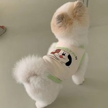 환견복 반려동물중성화 고양이수술복 강아지수술복, M 등길이 30cm 5 7마리 추천, J.녹색 강아지