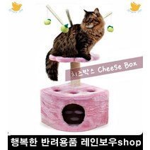 미니캣타워 숨숨집 고양이모빌 쉼터 고양이운동 고양이집 가성비캣타워, 1개