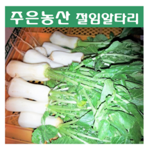 [국내제조] 식자재 가락시장 유일 김치전문점 주은 알타리 총각무절임 2kg, 알타리 2kg+종이박스 포장