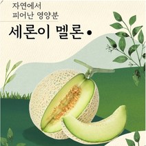 세지메론 세론이멜론 정품 나주메론 13brx 4수 노마진, 흰박스(11브릭스)5수 한박스