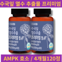 100% 국내산 수국잎 열수 추출물 리세린지 AMPK효소 수국분말 알약 효능 식약처 인정 제품 식약청 인증 제품, 1개, 수국잎 열수추출 프리미엄정 120정(4개월)