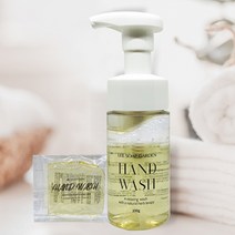 이솝가든 핸드워시100ml +고체리필70g 증정, 1개