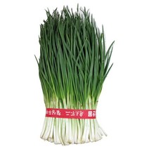 믿을수 있는 우리 농산물 깐쪽파 1단(소)
