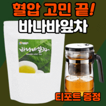 바나바잎차 물에 타먹는 간편한 코로 코루 크루 솔산 졸산 바나나 바나바나 바니바 바나마 바나파 바너마 남성 여성 혈압 혈행 혈당 수치 관리 케어 보조제 30대 40대 50대 60대, 100티백 + 티포트500ml