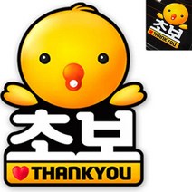 병아리 초보 운전 차량용 글자 스티커 왕초보