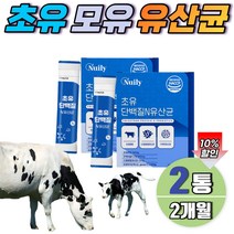 초유 유산균 온가족 단백질 보충제 프로바이오틱스 락토바실러스 가세리 모유유산균 스틱 2개월분 식약처 안전 인증 고소한맛 스틱형 비피더스 혼합 유익균