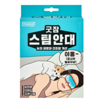 동국제약 굿잠 스팀 온열 일회용 수면 안대, 3개