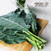 맛있는 국내산 녹즙용 케일/1kg 2kg, 01.케일 1kg, 1개