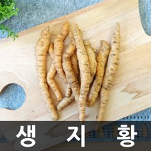 청명네이처 국내산(충남금산) 생지황, 1개, 3kg