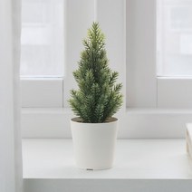 1+1 이케아 VINTERFINT 빈테르핀트 인조식물 미니트리 6cm, 1+1)2개