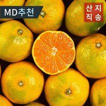 [농장직송]고당도 제주 감귤 황금향 5kg 10kg 가정용 선물세트 당일발송, 노지감귤 5kg 꼬마과(2S 미만)