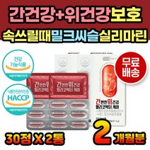 밀크씨슬 추출물 간건강 위건강 위보호 보호제 영양제 실리마린 속이쓰릴때 속이아플때 위아플때 위점막보호제 간보호제 간보호 간케어 간에좋은음식 간에좋은 간영양제 위영양제