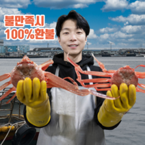 [기봉수산] 국산대게 박달대게 명품대게 당일 수확 당일배송 선주 직배송, 국산 박달대게 중 3마리