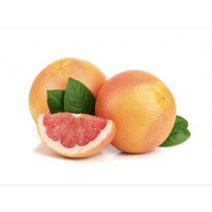 [허니솝] 보존제(항산화제) 모음 ( 비누 화장품 DIY 재료), K79. 자몽씨추출물(GSE) 100ml