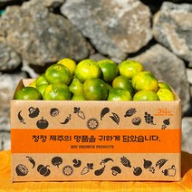 제주 감귤 햇 노지 타이벡 감귤 극조생 조생 서귀포 효돈감귤, 타이벡감귤, 24.조생 로얄과(S~M) 4.5kg