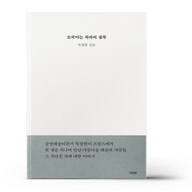 모국어는 차라리 침묵