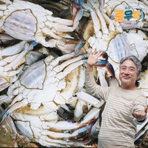 [로우벨] 국내산 서해안 찜 탕용 암꽃게 급냉 산지직송, 가을암꽃게3kg(마리당330~400g/6~9미)